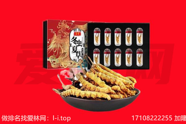 桂林市灌阳回收虫草.jpg